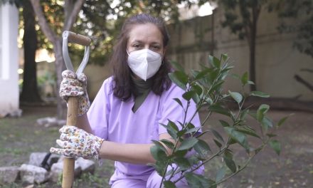 Las y los trabajadores de PAMI plantaron árboles para manifestar su compromiso con la memoria, la verdad y la justicia
