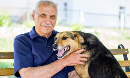 “Los perros y gatos pueden ayudar a las personas mayores”