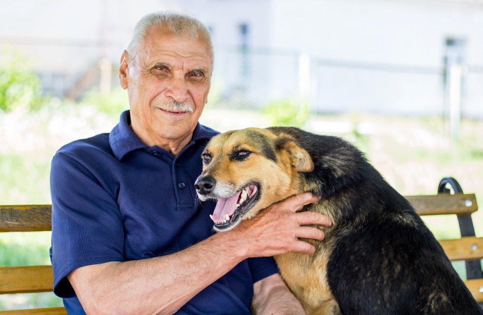 “Los perros y gatos pueden ayudar a las personas mayores”